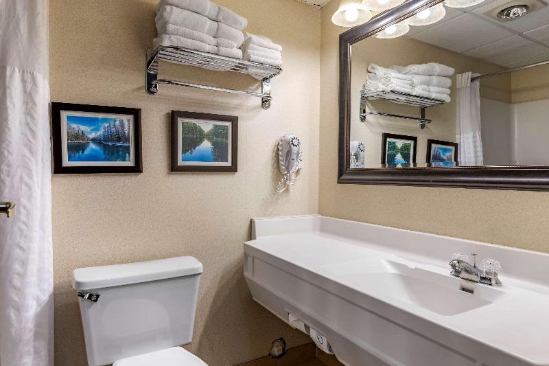 Comfort Inn Manistique MI - photo 52