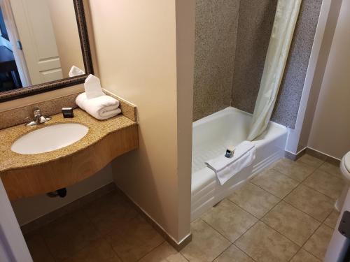 Hotel Portlight - photo 11