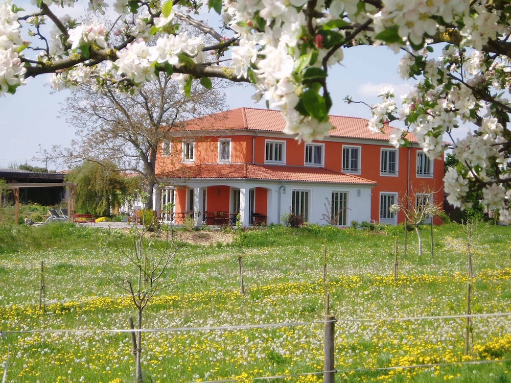 Weinhof Am Nussbaum — Willanzheim