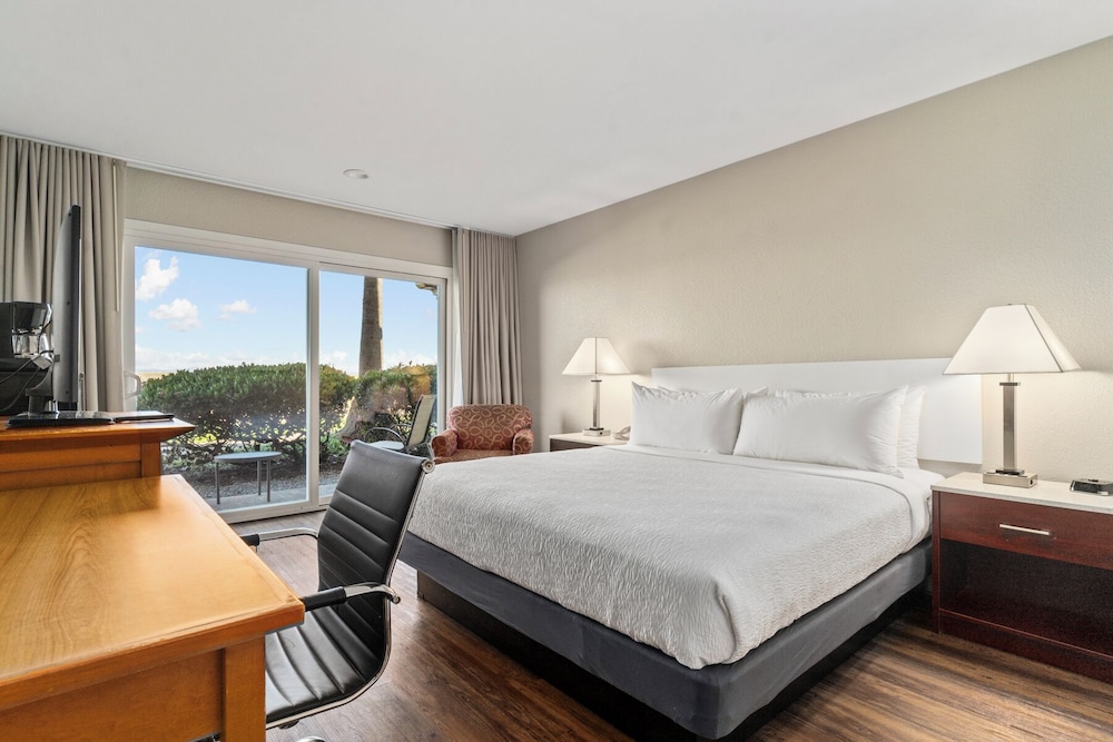 Vagabond Inn Executive San Francisco Airport - photo 10