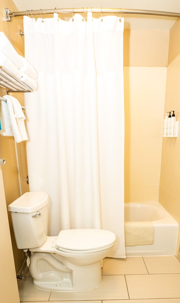 SpringHill Suites by Marriott San Antonio Alamo Plaza Convention Center - photo 12