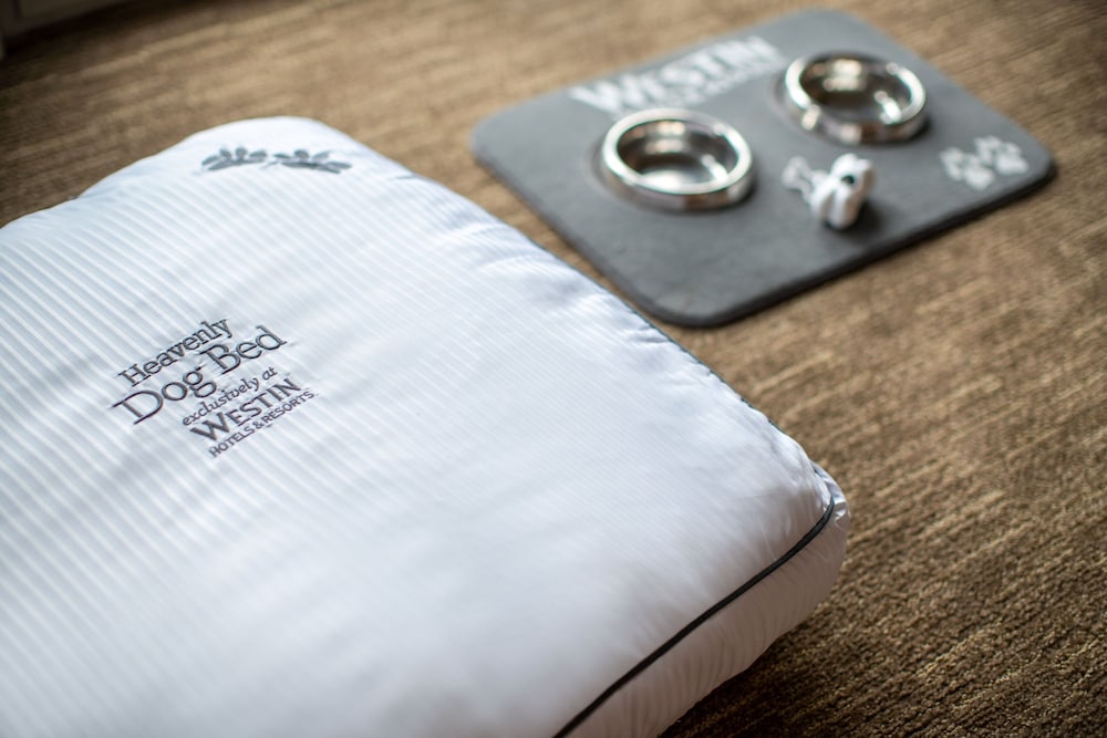 The Westin Georgetown Washington D.C. - photo 10