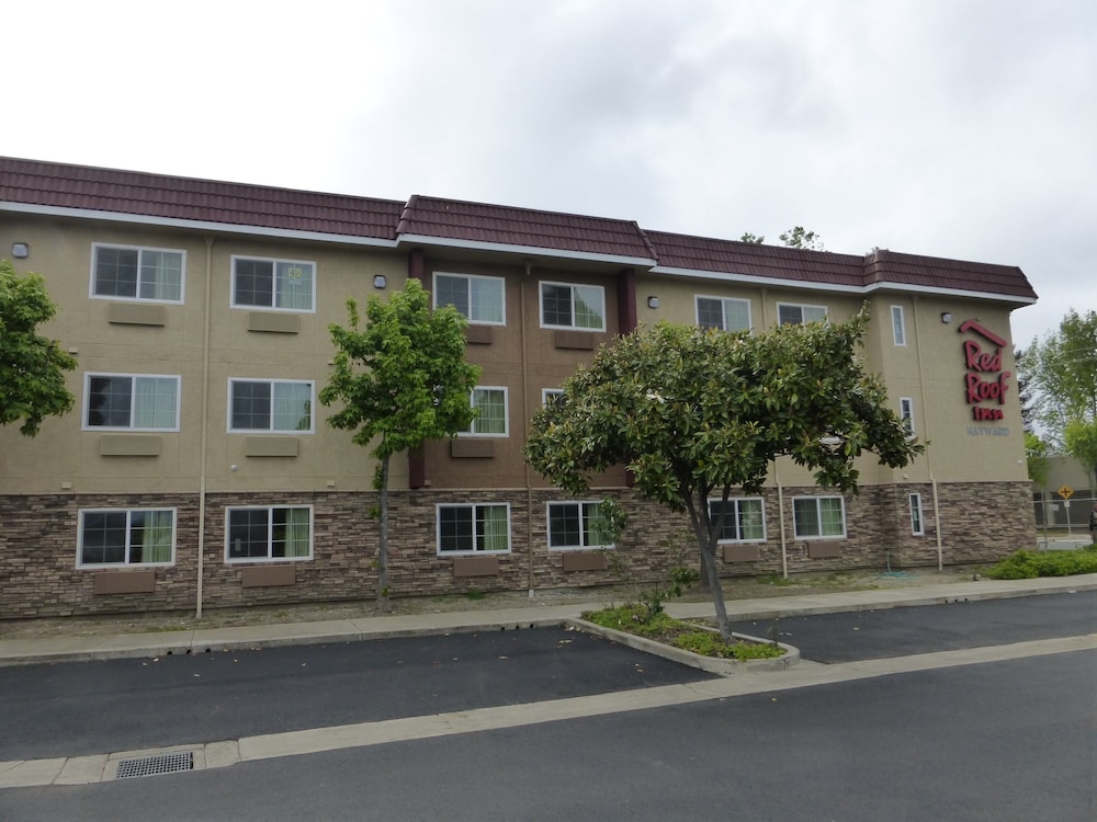 Red Roof Inn Hayward - photo 13