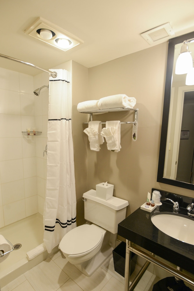 Magnolia Hotel St. Louis a Tribute Portfolio Hotel - photo 35