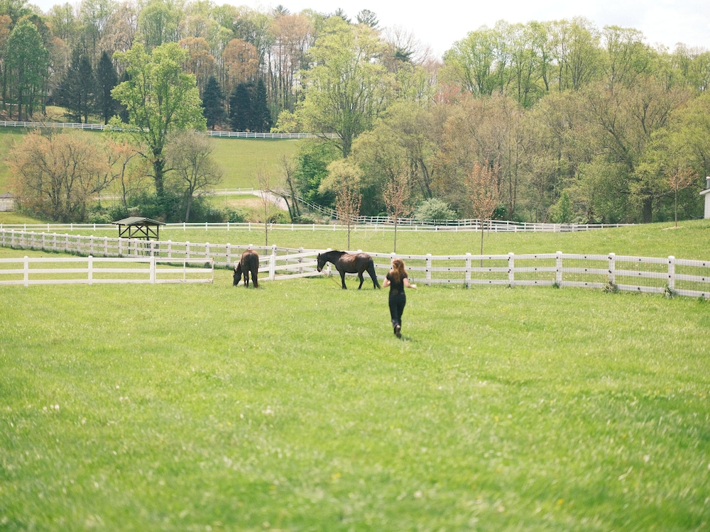 The Horse Shoe Farm - photo 42