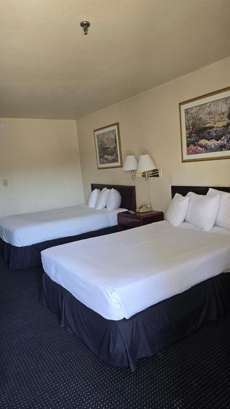 Terrace Inn and Suites - photo 14