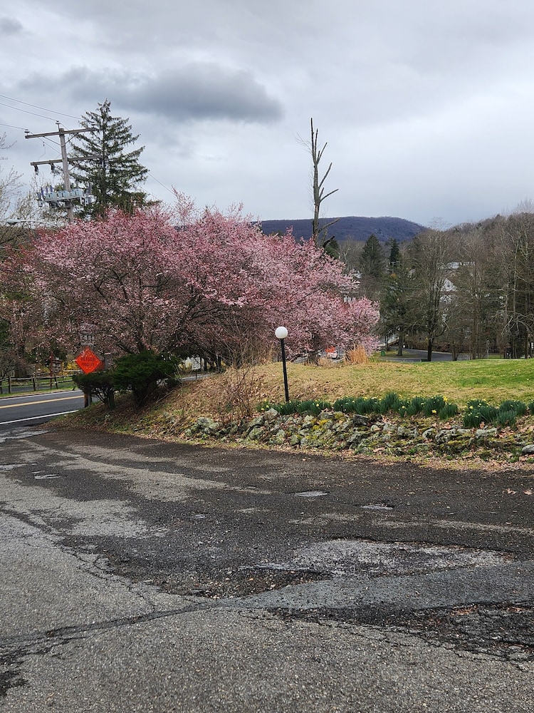 Glenwood Inn Stroudsburg - photo 42
