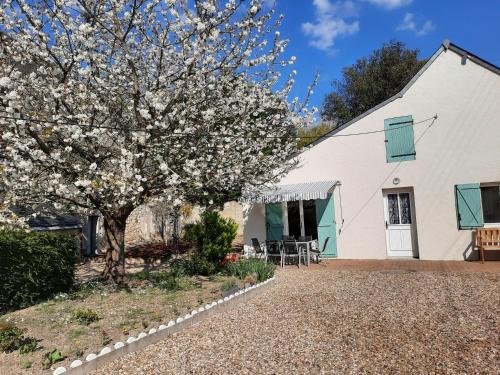 Gite Le Petit Anzan En Indre Et Loire — Noizay