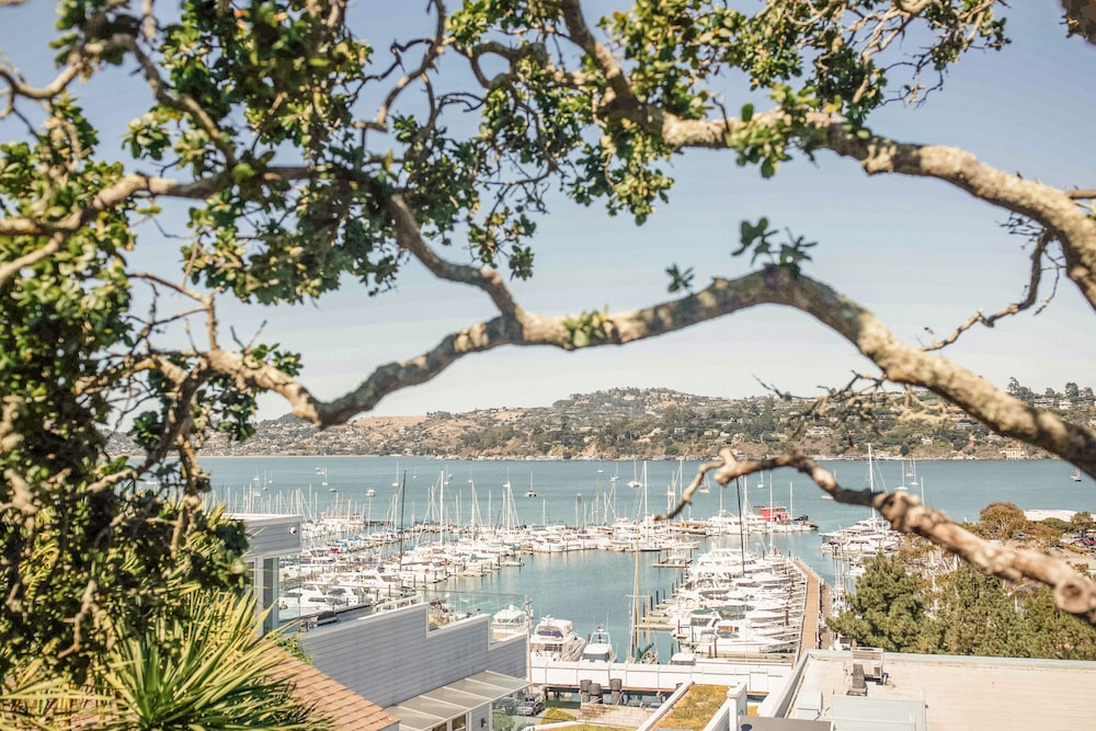 Casa Madrona Hotel & Spa - photo 61