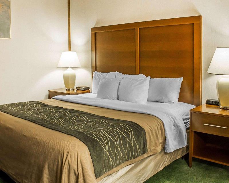 Comfort Inn Manistique MI - photo 67