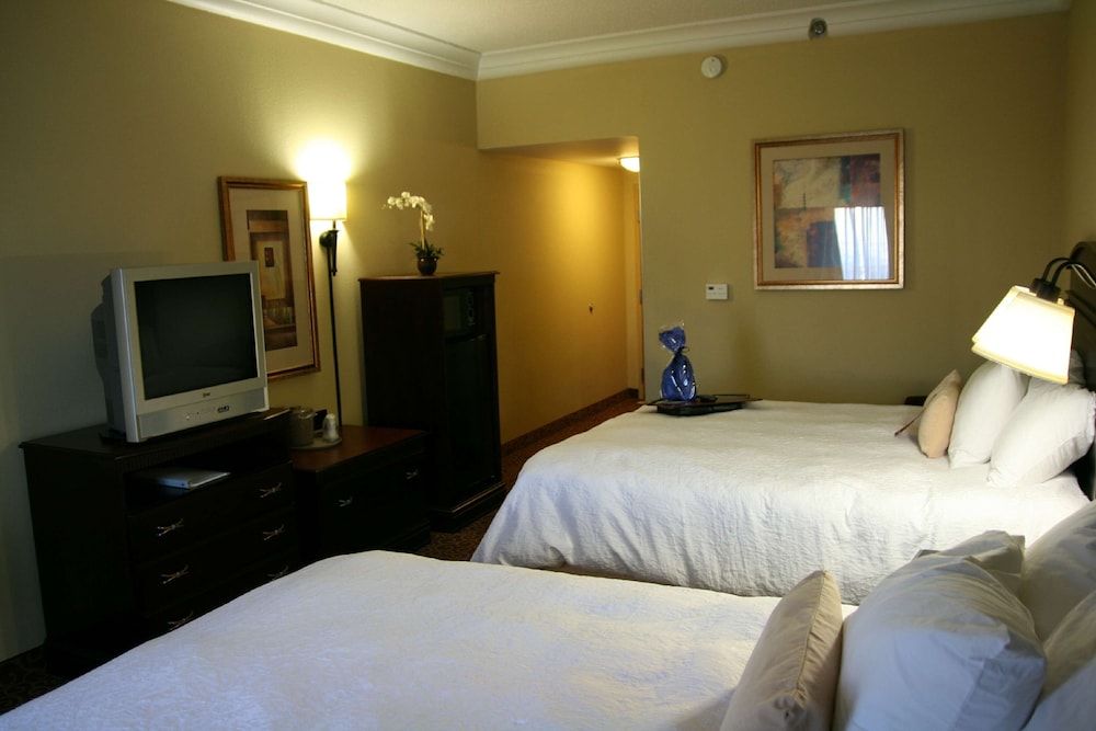 Hampton Inn Vidalia - photo 16