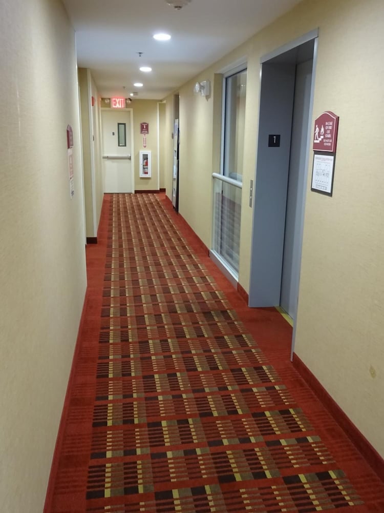 Hotel Bliss - photo 35