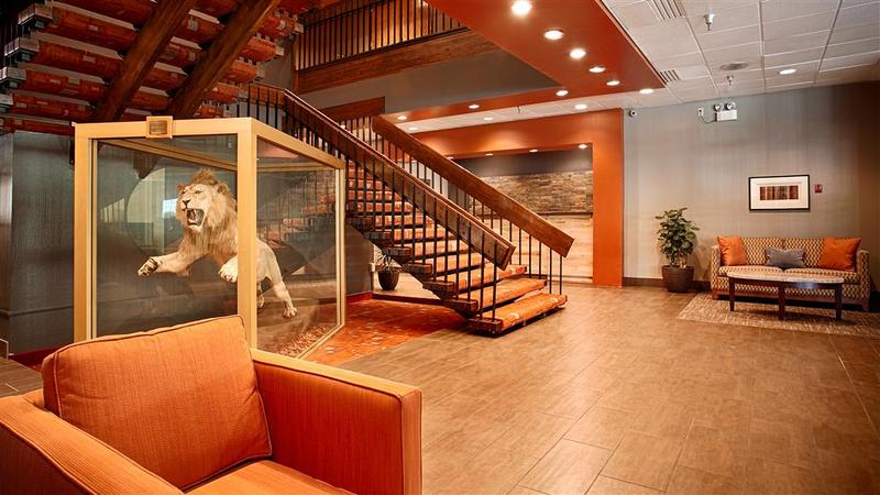 Golden Lion Hotel - featured photo