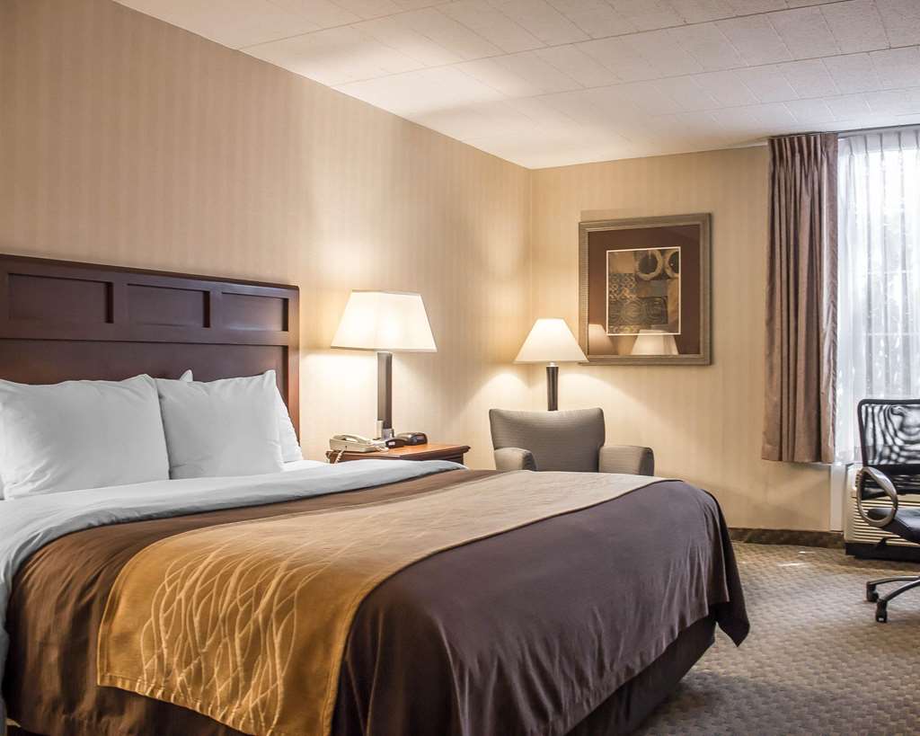 Comfort Inn Wethersfield Hartford - photo 6