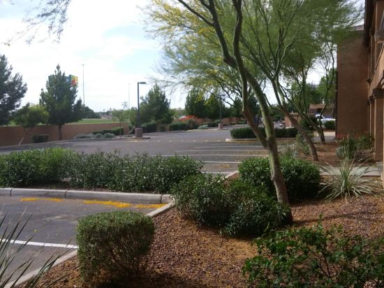 Legacy Suites Tolleson - photo 3