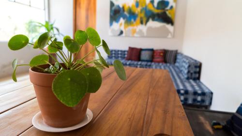 Hotel Muchá in Quetzaltenango, Guatemala