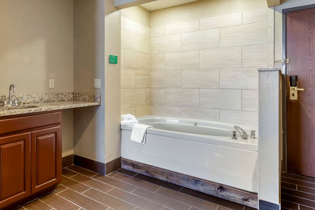 Comfort Inn Sault Sainte Marie - photo 23