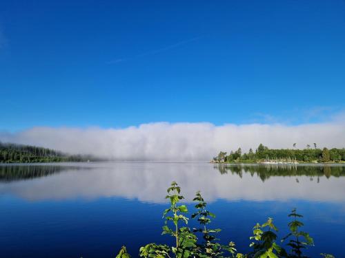 Altes Zollhüsli — Schluchsee — photo 4