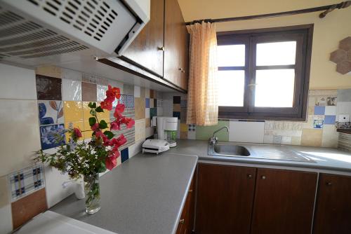 Koundouros Vacation Homes — Agios Andreas — photo 3
