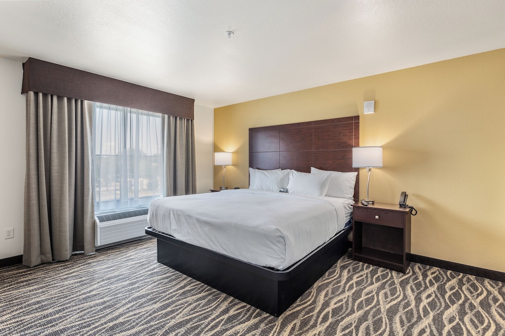 Cobblestone Hotel & Suites De Pere Green Bay - photo 30