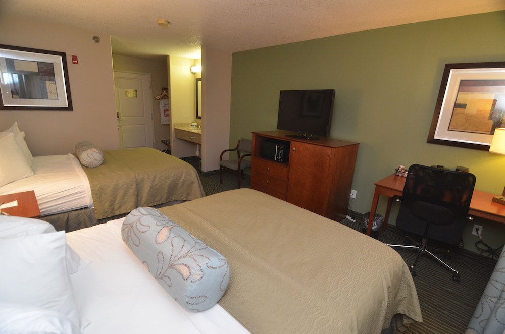 AmericInn by Wyndham Des Moines Airport - photo 18