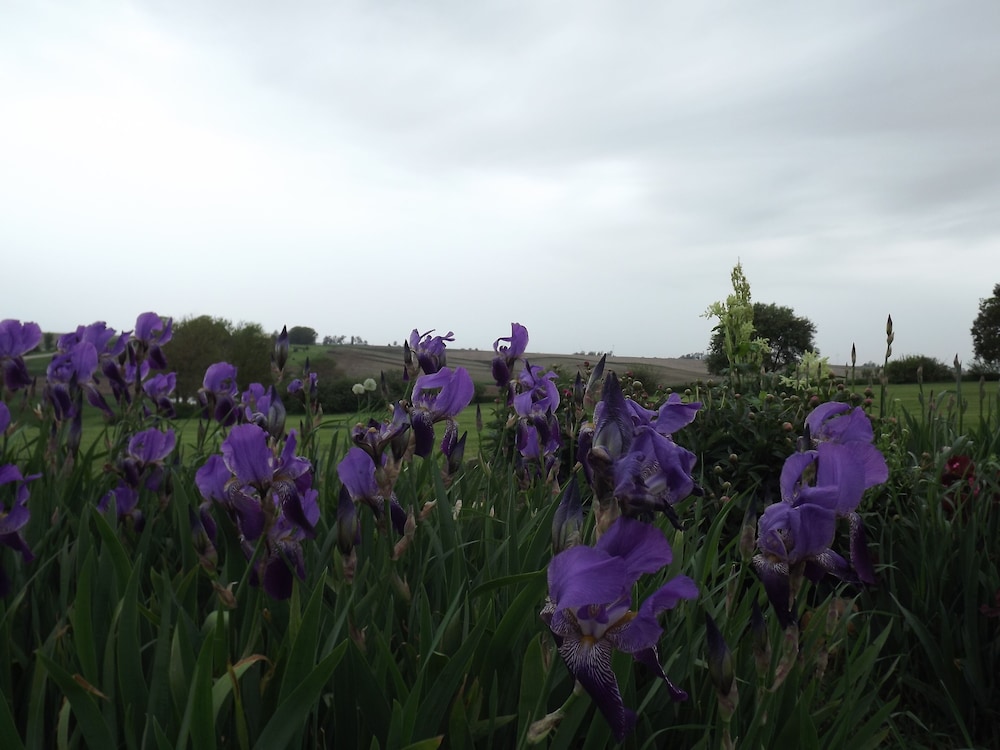 Crest Country Inn - photo 151