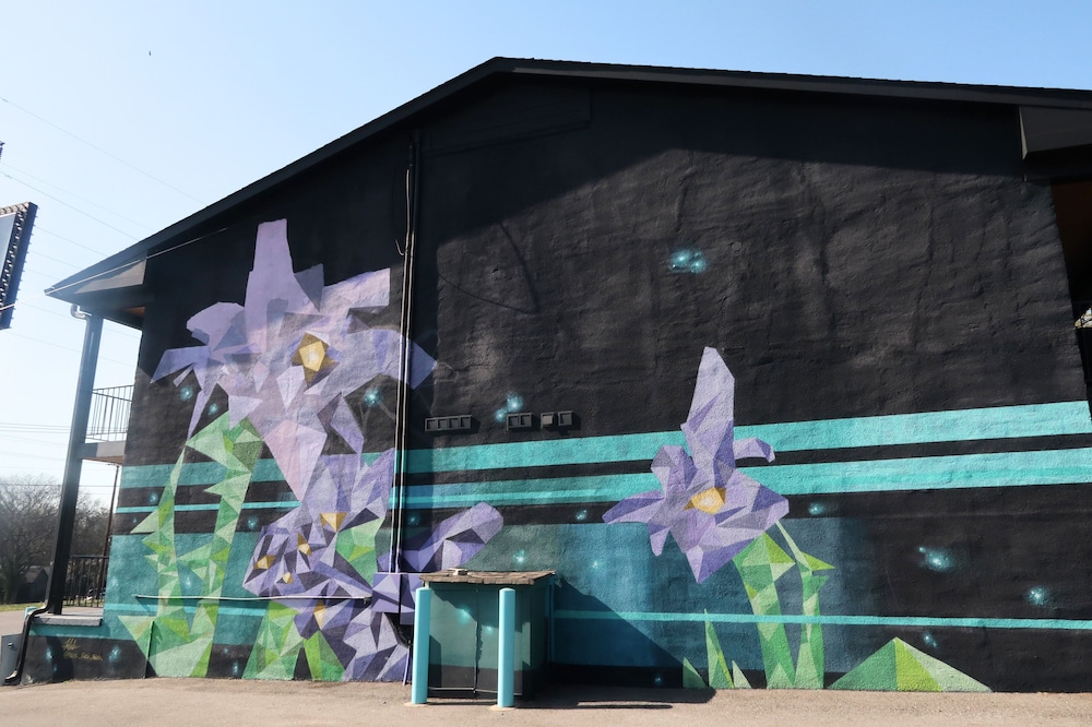 The Iris Motel - photo 41