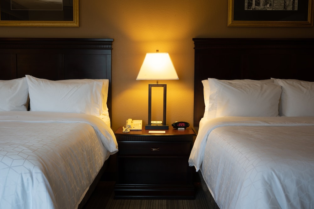 Holiday Inn Express and Suites Tuscaloosa University an IHG Hotel - photo 11
