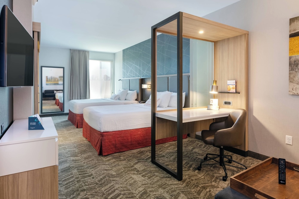 SpringHill Suites by Marriott Chattanooga South Ringgold GA - photo 9