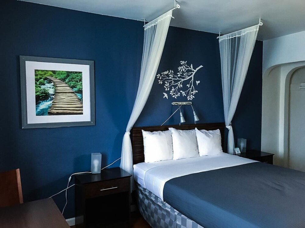 Golden Bear Hotel - photo 6