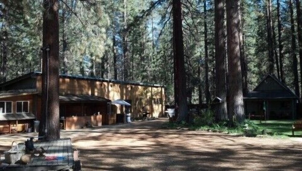 Holly's Place - photo 41
