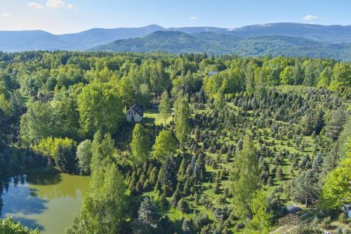 Agroturystyka Srebrny Las - last minute hotel in Unknown City