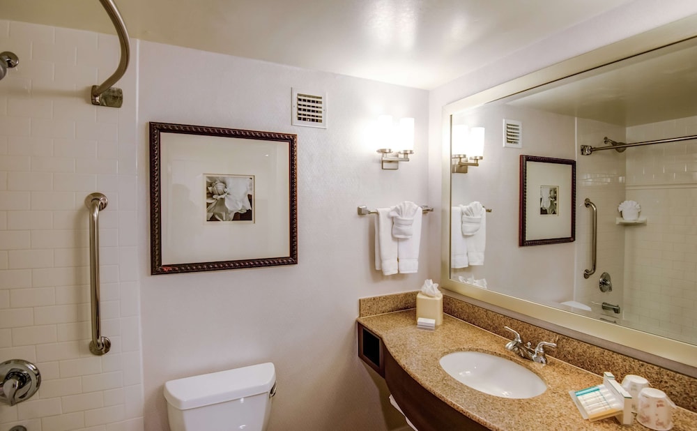 Hilton Garden Inn Tampa Ybor Historic District - photo 16