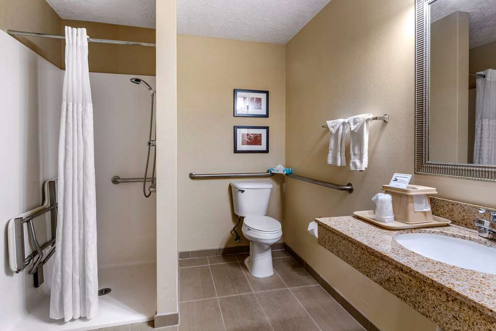 Comfort Suites Linn County - photo 23