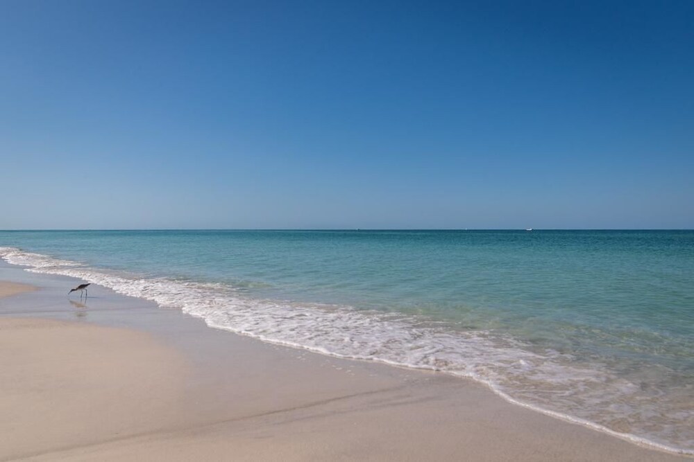Palm Cay 5 - photo 13