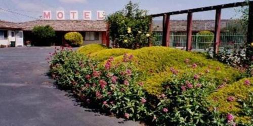 Wiebe Motel - photo 26