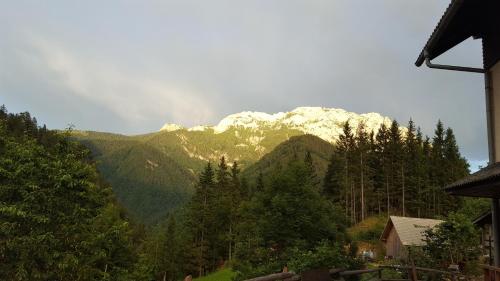 Farm stay Majdač — Solcava — photo 2