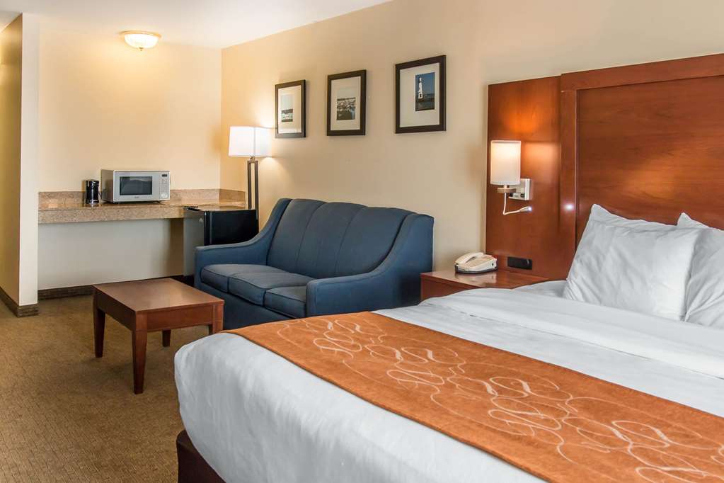 Comfort Suites Wixom Novi - photo 12