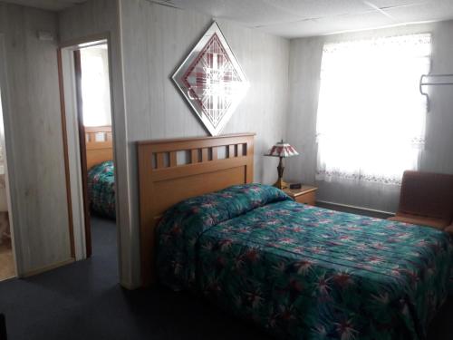 Suitcase Motel & Travel - photo 28