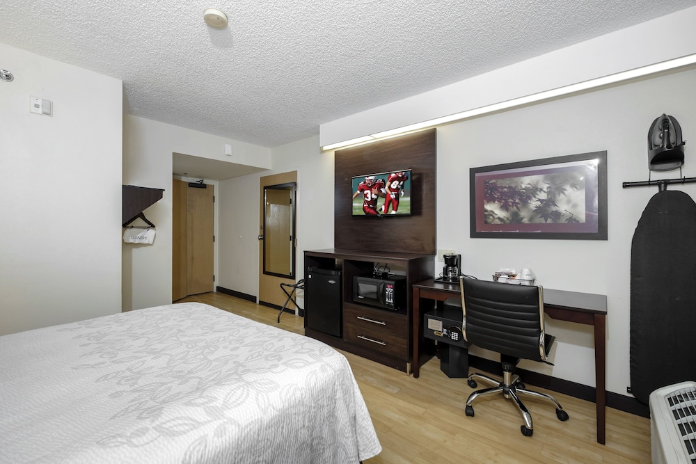Red Roof Inn Plus Palm Coast - photo 14