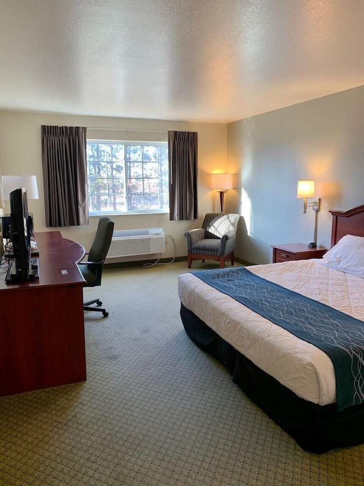 GrandStay Hotel & Suites Becker Big Lake - photo 11
