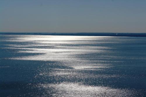 Mézes Kuckó — Tihany — photo 2