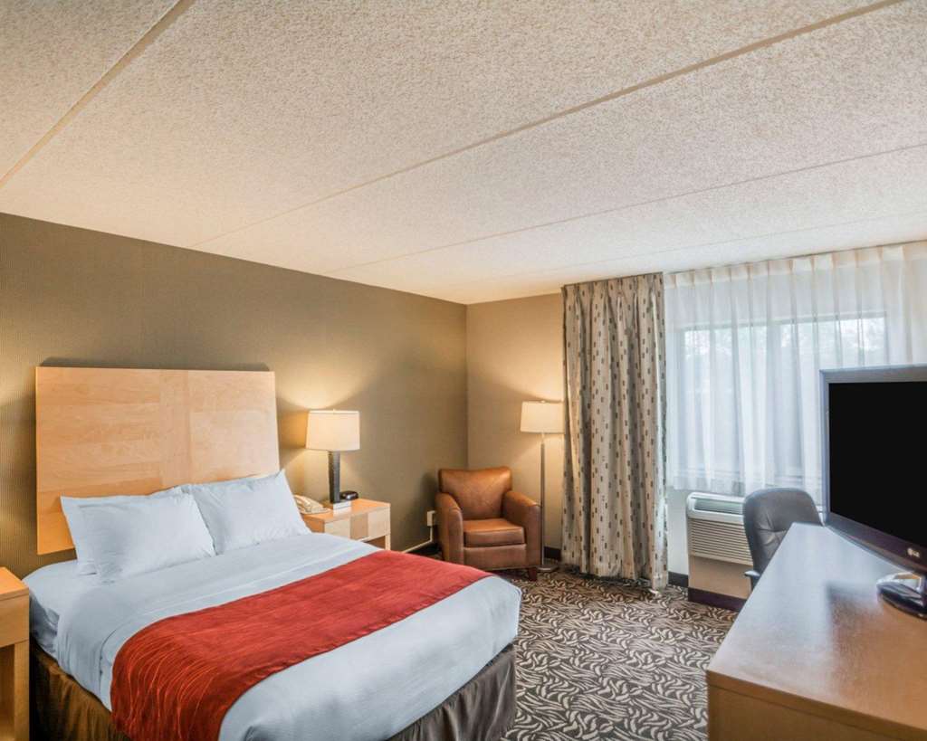Comfort Inn NYS Fairgrounds - photo 21