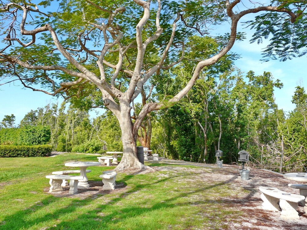 South Seas Tower 3 905 - photo 56