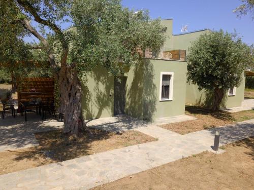 The Thassian Yard Houses in Prinos, Greece