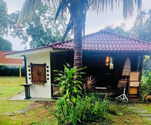 Tiny hut - carbon neutral hotel in Unknown City