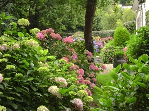 Villa Les Hortensias — Pont-Croix — photo 4