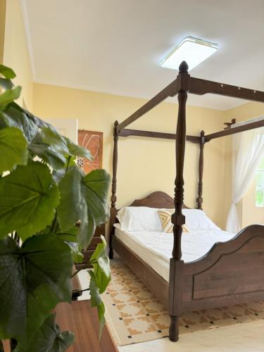 Cajigal Farmhouse high speed converge internet and AC in 2 bedrooms — 4-Star Luxury Hotel in Badoc, Philippines