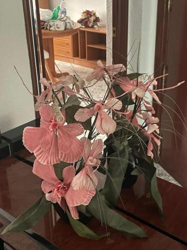 Gran Piso 3 Habitaciones in Sagunto, Spain