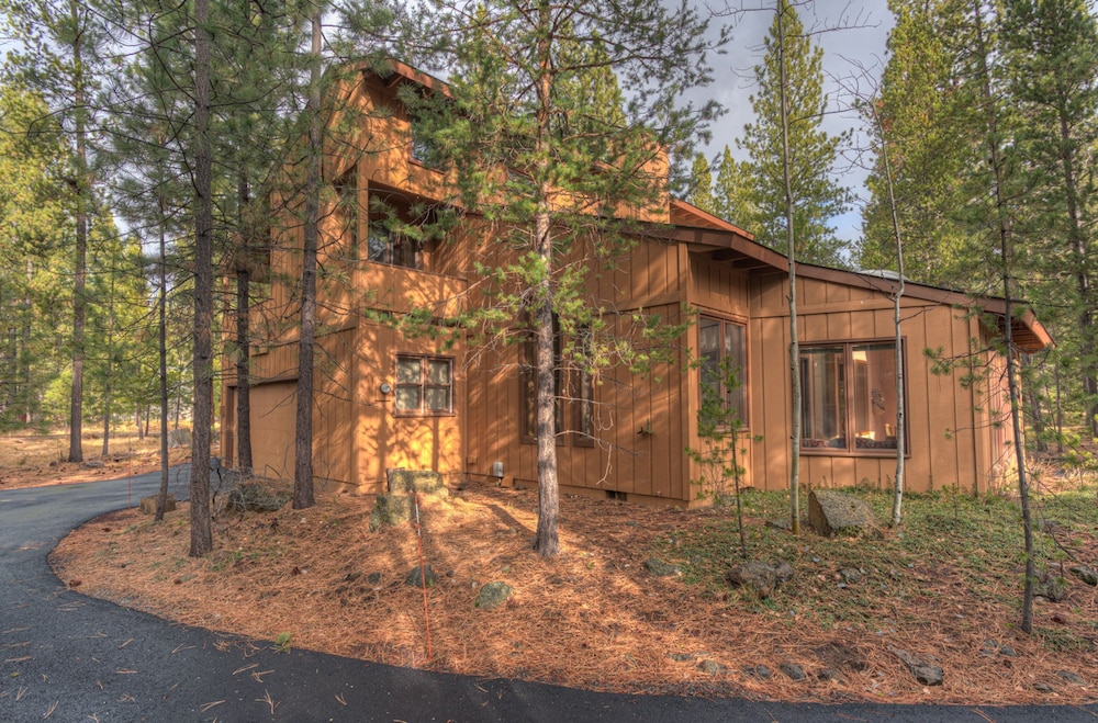 Pine Needle Lane 7 - photo 36